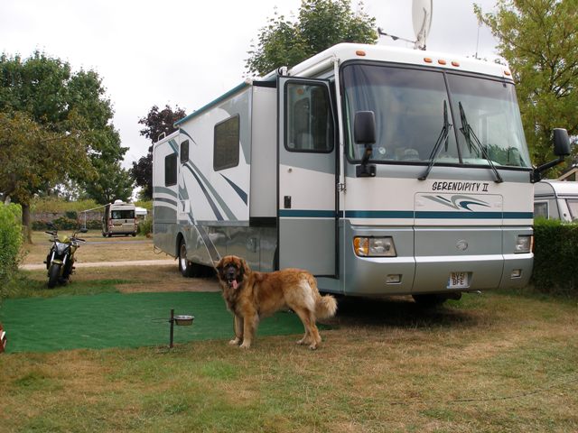 Camping La Route D'or
Plenty of space