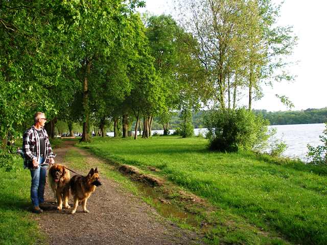 The Loire.